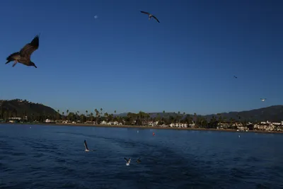 DSC_6570 (Large).JPG